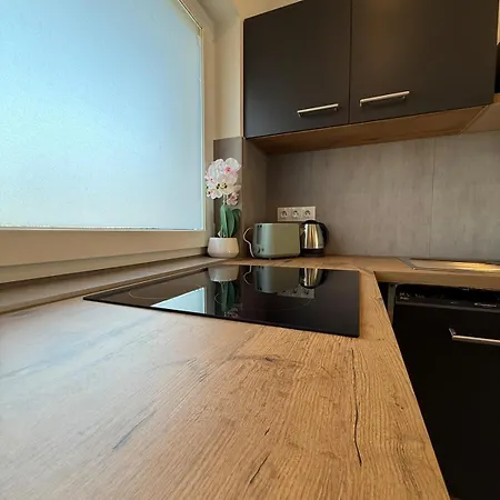 Local-lux Garden Residence-12guests-140m2-free Parking Appartement Kecskemét